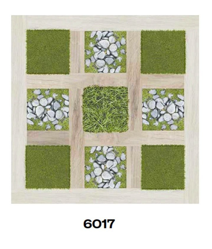 6017